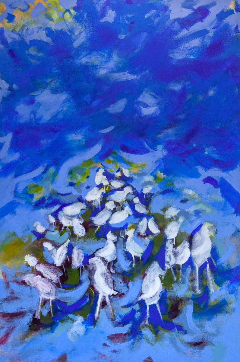 Mouettes