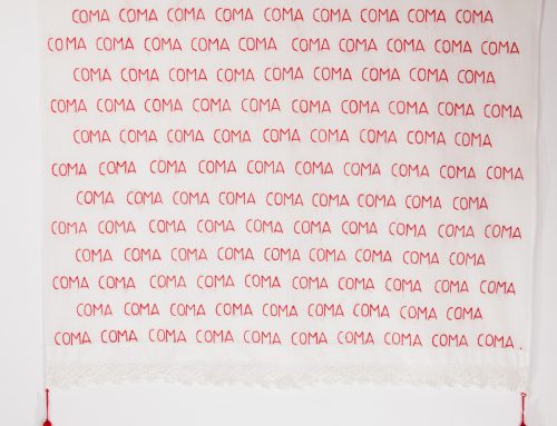 Broderie 5